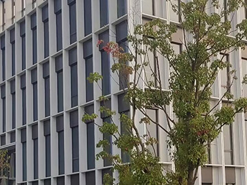沈陽幕墻設計方案，滿足建筑的功能、美觀和安全要求！